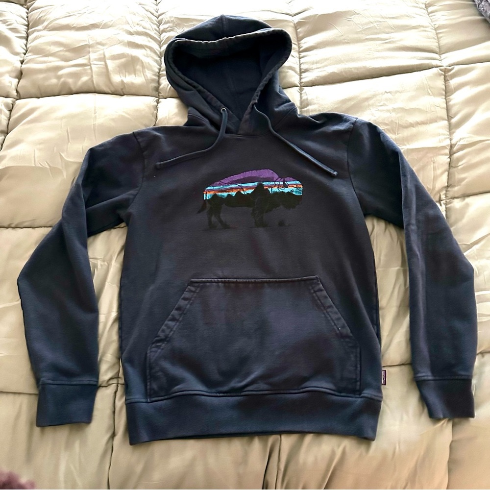 Patagonia Sweatshirt